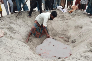 সিরাজগঞ্জে ৪০০ কেজি ঘোড়ার মাংস জব্দ, দুজনকে কারাদণ্ড