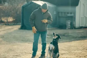 একটি ইট যেভাবে বহু বছর নির্যাতিত শিশুর সন্ধান দিল গোয়েন্দাদের